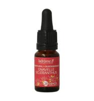 Scleranthus / hardbloem bio