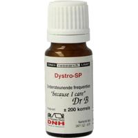 DNH Dystro-sp