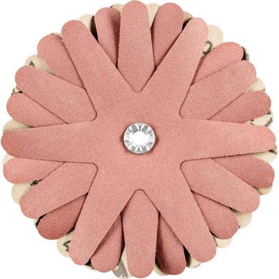 PFERD TOOLS 42732169 Schuursterren Diameter 100 mm 10 stuk(s)