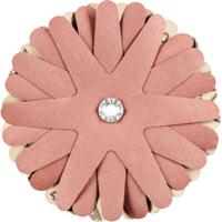 PFERD TOOLS 42732169 Schuursterren Diameter 100 mm 10 stuk(s)