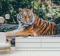 Dieren fotobehang 3d tijger die op een rots ligt Dieren fotobehang 3d tijger die op een rots ligt