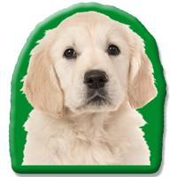 Kleur Voorzijde: - Pillow Buddies