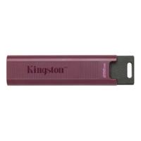 USB stick Kingston Max Rood 256 GB