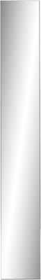 Saqu F-line toiletspiegel 10x70cm