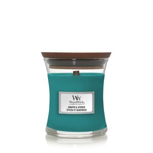 WoodWick Juniper & Spruce Mini Jar kaars Rond Aqua-kleur