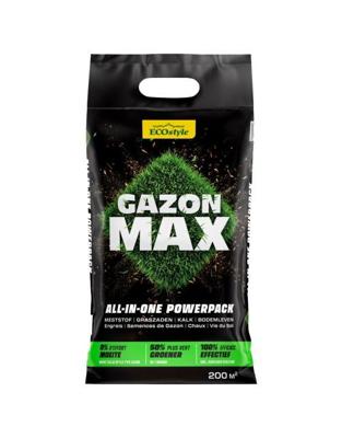 Gazon max 10kg - Ecostyle