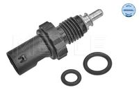 Temperatuursensor 3148210001