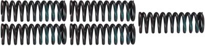 TRW Clutch spring kit mef319-5