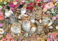 Falcon de luxe Floral Cats 1000 stukjes - thumbnail