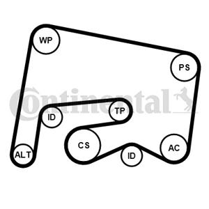 Poly V-riem set CONTINENTAL CTAM, u.a. für Mercedes-Benz