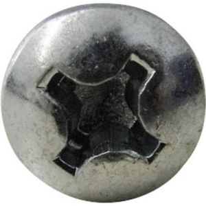 TOOLCRAFT 815012 Lenskop-plaatschroeven 2.9 mm 13 mm Staal Verzinkt 100 stuk(s)