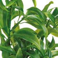 Sf art plant 25 cm dracaena - Superfish