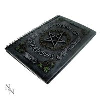 Nemesis Now - Ivy Book Of Shadows (22cm) - thumbnail