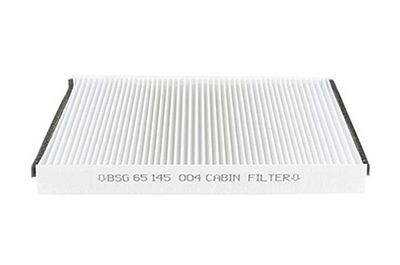 Interieurfilter BSG65145004