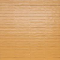 Ragno Wish RCGD Wandtegel 053X300 Yellow 10Mm Mat