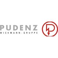 Pudenz CF 8 50A 15508925501 Poolbeveiliging