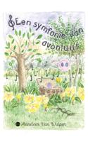 Een symfonie van avontuur (Paperback)