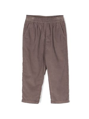 Knot pantalon Cairo en velours côtelé - Gris