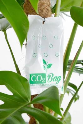 CO2BAG CO2BAG | Kooldioxidezak