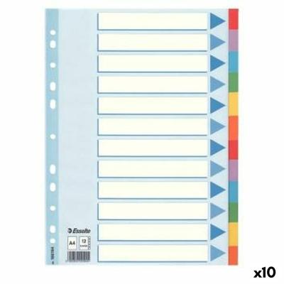 Spoorverbreders Esselte Multicolour A4 (10 Stuks)