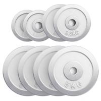 Halterschijven set 27,5 kg Chroom