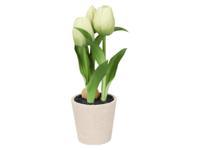 LIVARNO Kunsttulpen in pot (Wit)