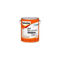 2in1 muurverf vlekken 5l - Alabastine