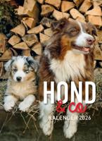 Hond & Co Scheurkalender 2026