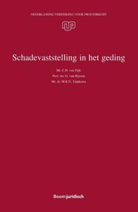 Schadevaststelling in het geding (Paperback)