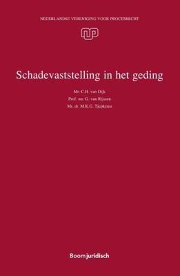 Schadevaststelling in het geding (Paperback)