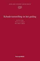 Schadevaststelling in het geding (Paperback) Schadevaststelling in het geding (Paperback)