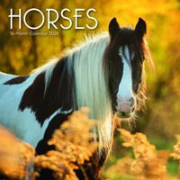 Paarden Kalender 2026