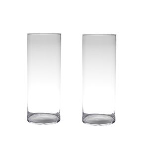 Set van 2x stuks transparante home-basics cylinder vaas/vazen van glas 50 x 19 cm