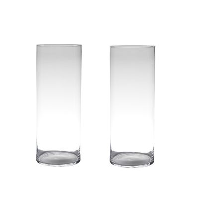 Set van 2x stuks transparante home-basics cylinder vaas/vazen van glas 50 x 19 cm