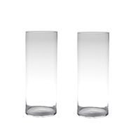 Set van 2x stuks transparante home-basics cylinder vaas/vazen van glas 50 x 19 cm - thumbnail