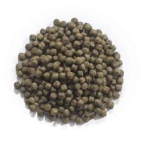 Coppens Staple 6 mm - Koi Visvoer 15 KG - Uitgebalanceerd & Gezondheid Bevorderend
