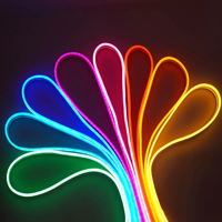 Wi-Fi LED strip 230V - Novo neon flex RGB IP67 dimbaar per-meter plug & play