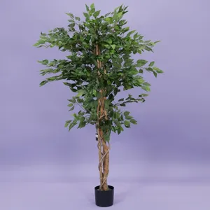 Ficus benjamina i/pot h180cm groen