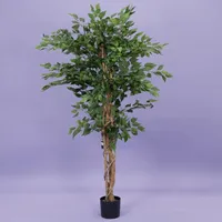 Ficus benjamina i/pot h180cm groen - thumbnail