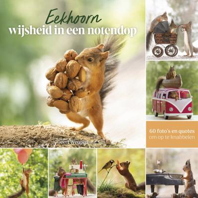 Eekhoorn wijsheid in een notendop (Hardback)