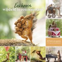 Eekhoorn wijsheid in een notendop (Hardback)