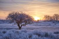 Tuinschilderij winter wonderl 70x50 - Customize it