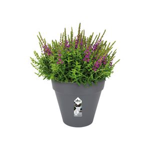 elho loft urban round 70 Buiten Plantenpot Vrijstaand Polypropyleen (PP) Antraciet