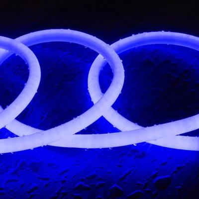 Led strip Blauw Flexibele Neon led strip 1 tot 50 meter (Blauw)