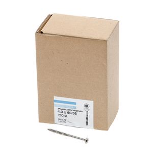 Spaanpl.schr.rvs pk tx20 4.0X60/36 dd