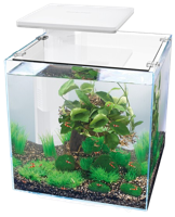 Superfish QubiQ 30 Pro wit