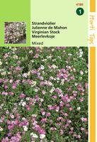 Cheiranthus Malcolmia Maritimus Gemengd - Hortitops