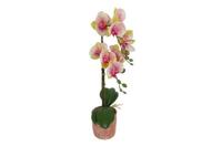 Decostar Phalaenopsis kunstplant 45 cm veelkleurig