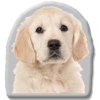 Kleur Voorzijde: - Pillow Buddies