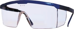 Enzo Veiligheidsbril Basic Plus Helder Pc - 71700000 - 71700000